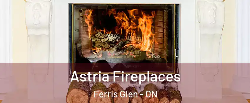  Astria Fireplaces Ferris Glen - ON