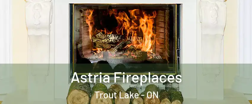  Astria Fireplaces Trout Lake - ON