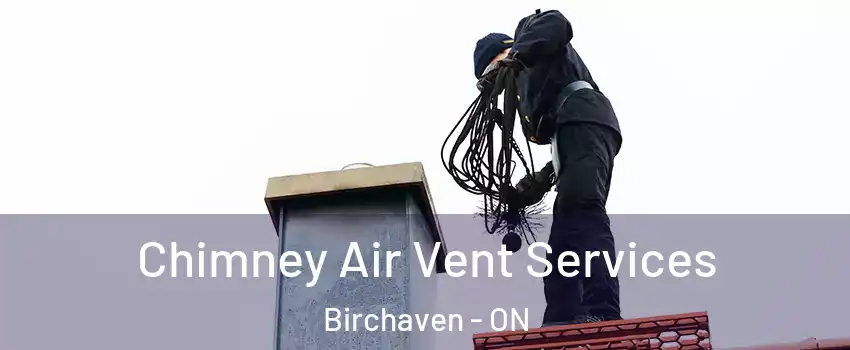  Chimney Air Vent Services Birchaven - ON