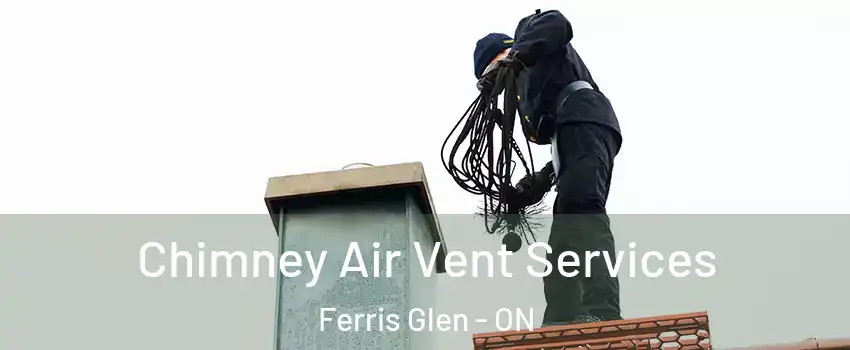  Chimney Air Vent Services Ferris Glen - ON