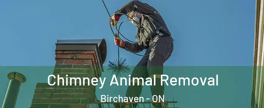 Chimney Animal Removal Birchaven - ON