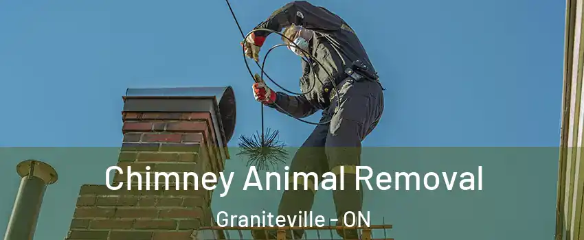 Chimney Animal Removal Graniteville - ON