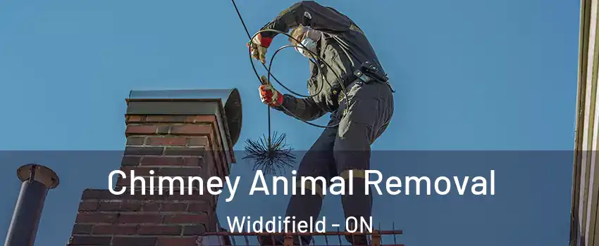 Chimney Animal Removal Widdifield - ON