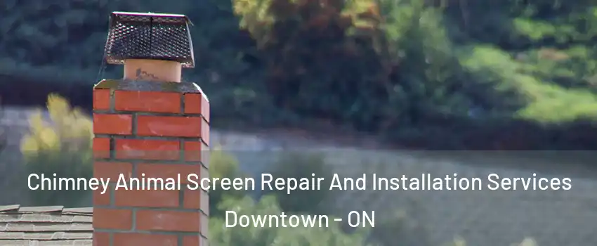  Chimney Animal Screen Repair And Installation Services Downtown - ON