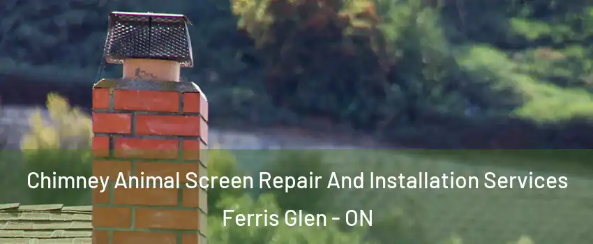  Chimney Animal Screen Repair And Installation Services Ferris Glen - ON