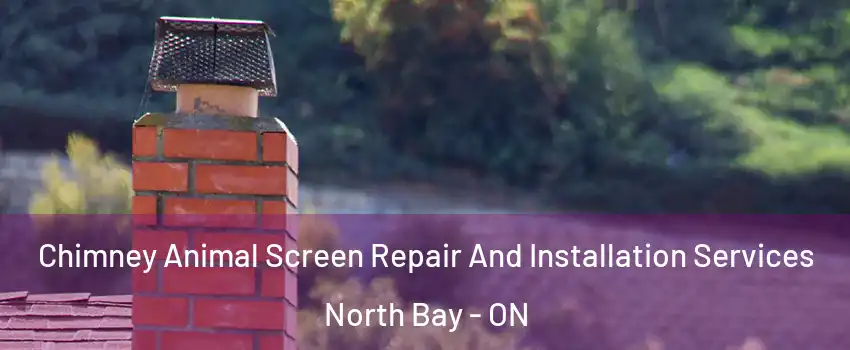  Chimney Animal Screen Repair And Installation Services North Bay - ON
