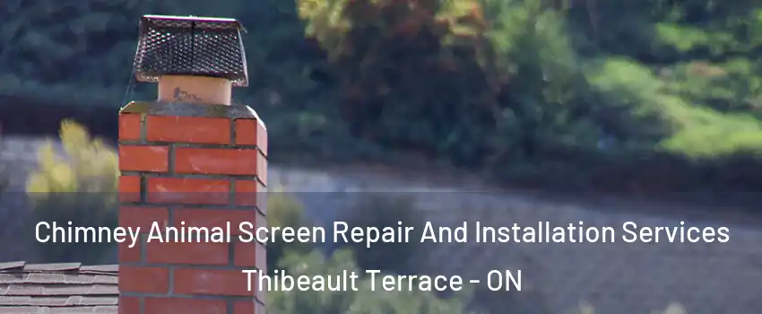  Chimney Animal Screen Repair And Installation Services Thibeault Terrace - ON