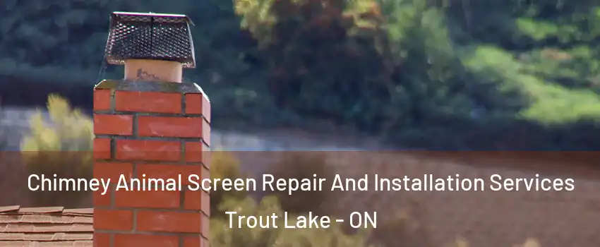  Chimney Animal Screen Repair And Installation Services Trout Lake - ON