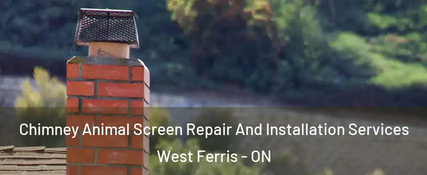  Chimney Animal Screen Repair And Installation Services West Ferris - ON