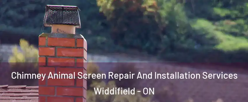  Chimney Animal Screen Repair And Installation Services Widdifield - ON