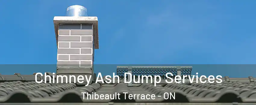  Chimney Ash Dump Services Thibeault Terrace - ON