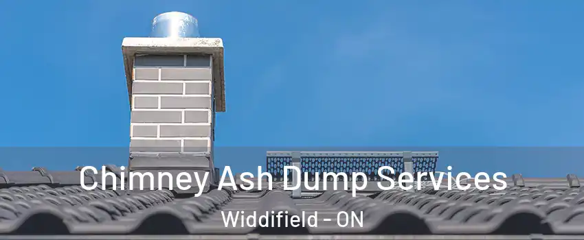  Chimney Ash Dump Services Widdifield - ON