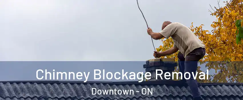  Chimney Blockage Removal Downtown - ON