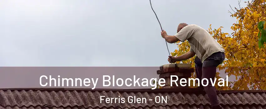  Chimney Blockage Removal Ferris Glen - ON