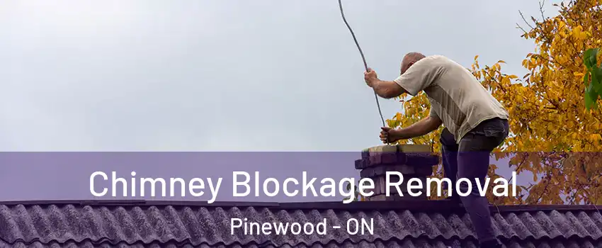  Chimney Blockage Removal Pinewood - ON