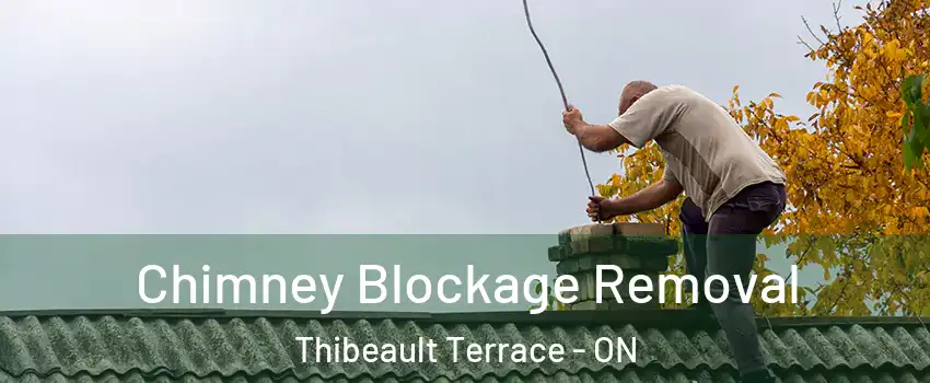  Chimney Blockage Removal Thibeault Terrace - ON