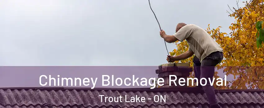  Chimney Blockage Removal Trout Lake - ON