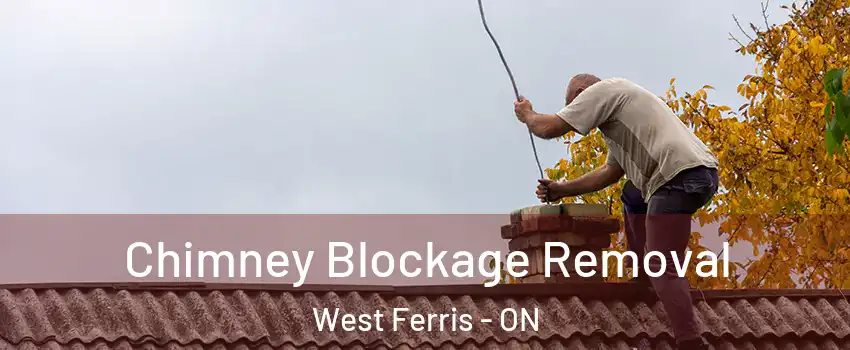  Chimney Blockage Removal West Ferris - ON