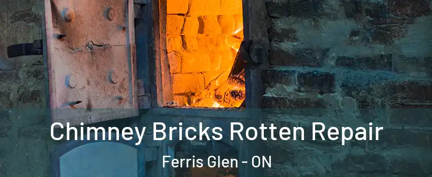  Chimney Bricks Rotten Repair Ferris Glen - ON