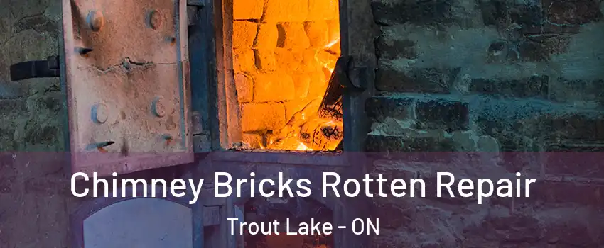  Chimney Bricks Rotten Repair Trout Lake - ON