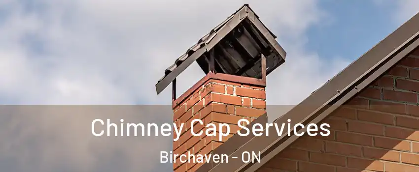  Chimney Cap Services Birchaven - ON