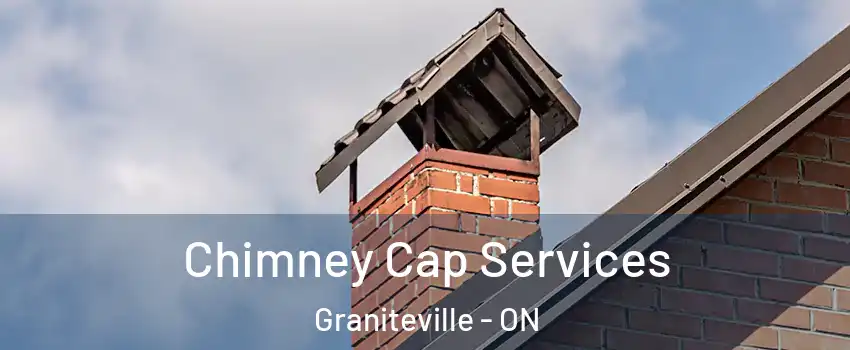  Chimney Cap Services Graniteville - ON