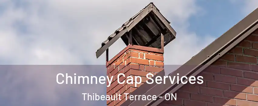  Chimney Cap Services Thibeault Terrace - ON