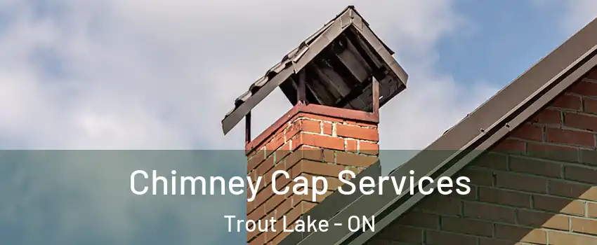  Chimney Cap Services Trout Lake - ON