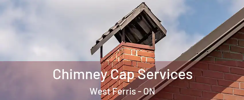  Chimney Cap Services West Ferris - ON