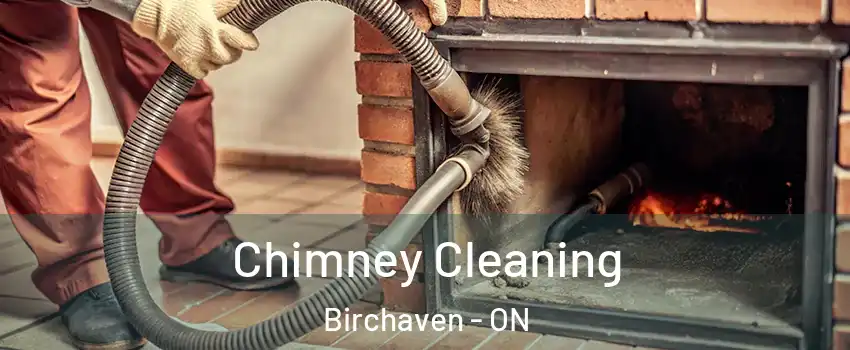  Chimney Cleaning Birchaven - ON