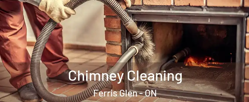  Chimney Cleaning Ferris Glen - ON