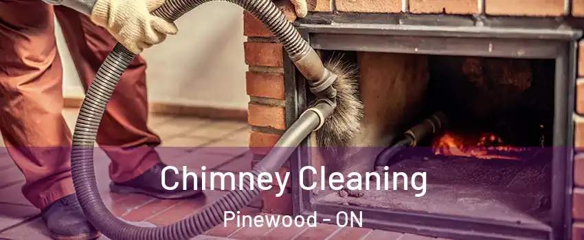  Chimney Cleaning Pinewood - ON