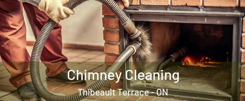  Chimney Cleaning Thibeault Terrace - ON