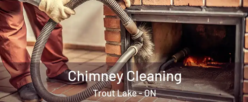  Chimney Cleaning Trout Lake - ON