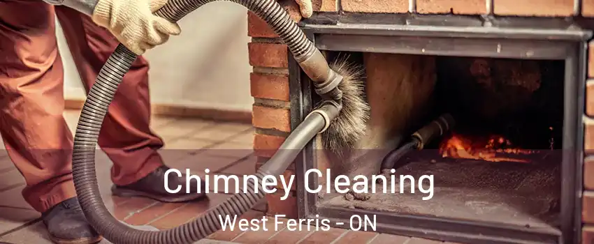  Chimney Cleaning West Ferris - ON
