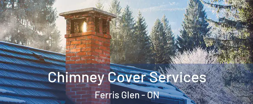  Chimney Cover Services Ferris Glen - ON