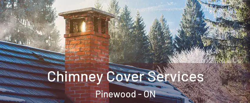  Chimney Cover Services Pinewood - ON