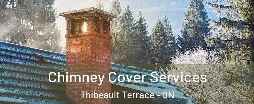  Chimney Cover Services Thibeault Terrace - ON