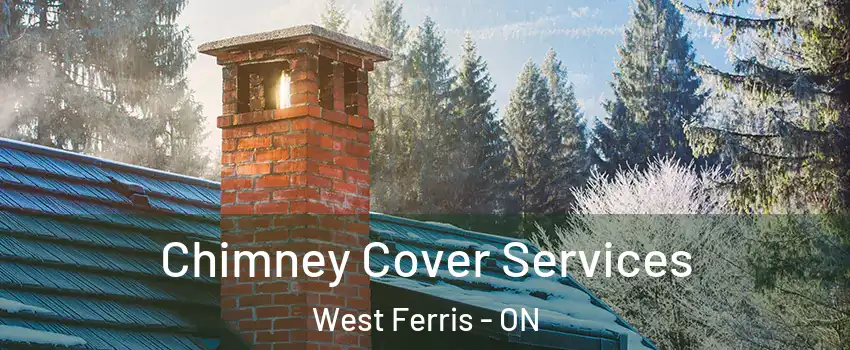  Chimney Cover Services West Ferris - ON
