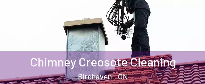 Chimney Creosote Cleaning Birchaven - ON