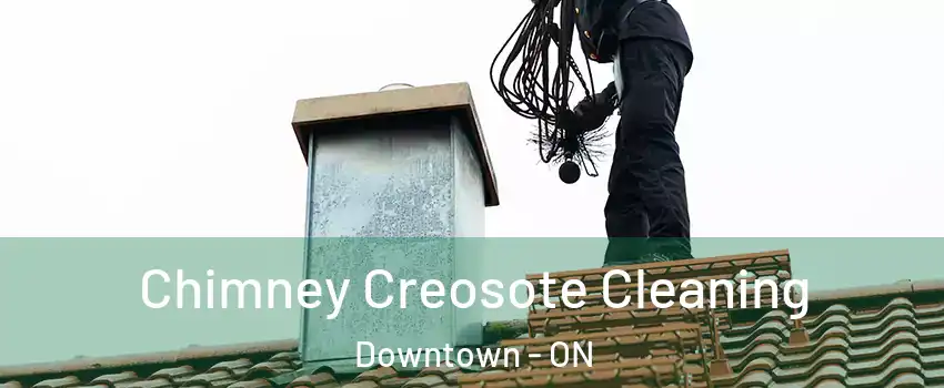  Chimney Creosote Cleaning Downtown - ON
