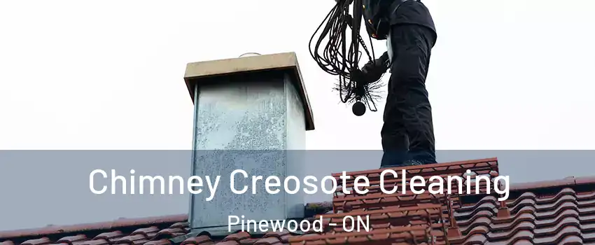  Chimney Creosote Cleaning Pinewood - ON
