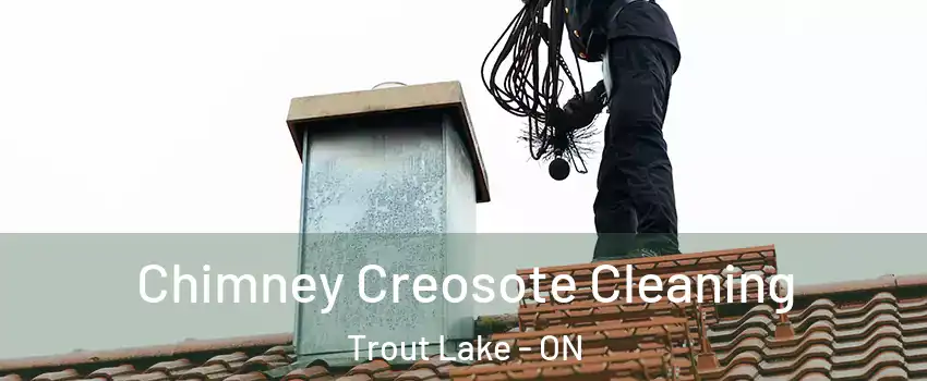  Chimney Creosote Cleaning Trout Lake - ON
