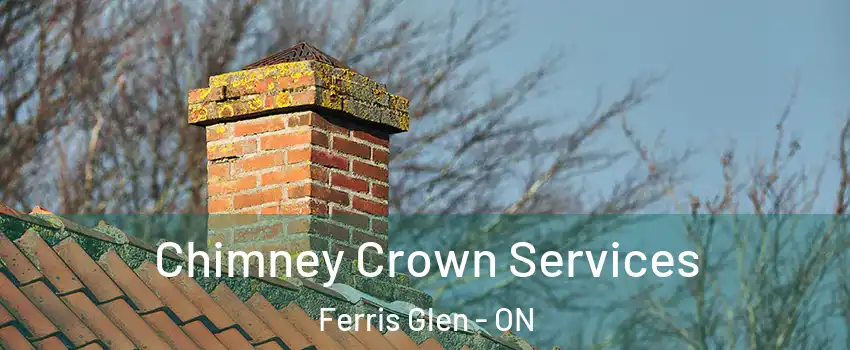  Chimney Crown Services Ferris Glen - ON