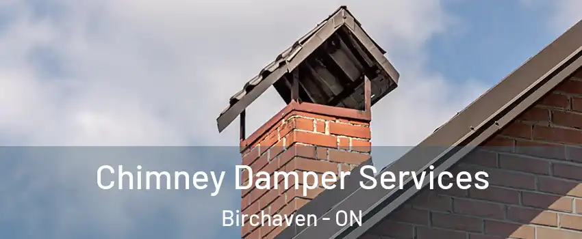  Chimney Damper Services Birchaven - ON