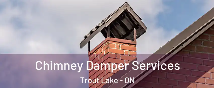  Chimney Damper Services Trout Lake - ON