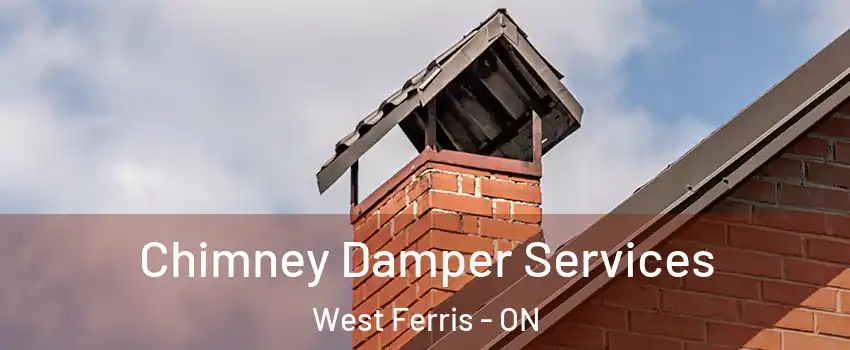  Chimney Damper Services West Ferris - ON