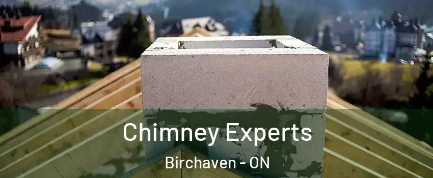 Chimney Experts Birchaven - ON