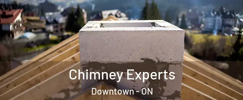 Chimney Experts Downtown - ON