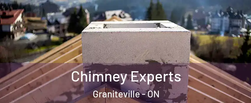 Chimney Experts Graniteville - ON